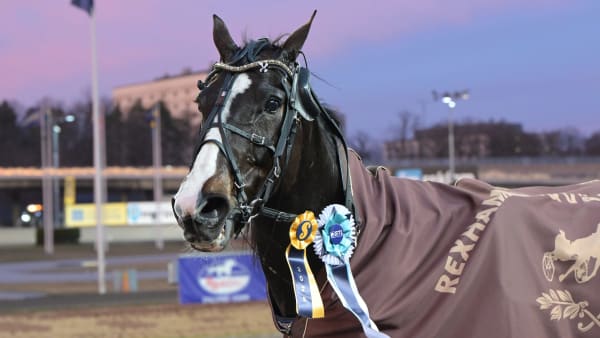 Foto: LARS JAKOBSSON / TR BILD