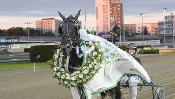 Foto: LARS JAKOBSSON / TR BILD