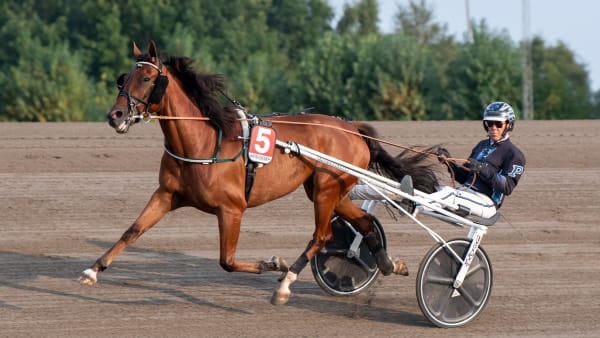 Foto: MIKAEL ROSENQUIST / TR BILD