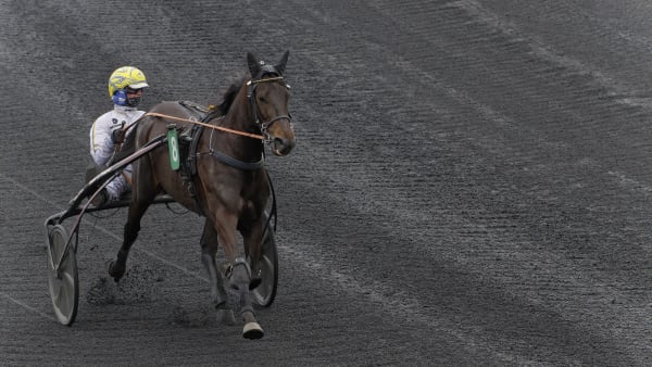 Foto: Jean-Luc lamaère-LeTROT