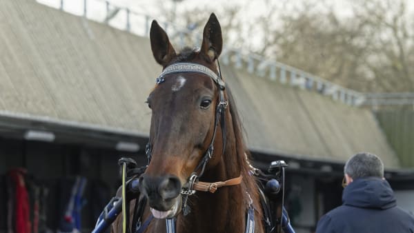 Foto: JEAN-LUC LAMAÈRE/TR BILD