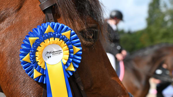 Foto: Jessica Ortiz Bergström