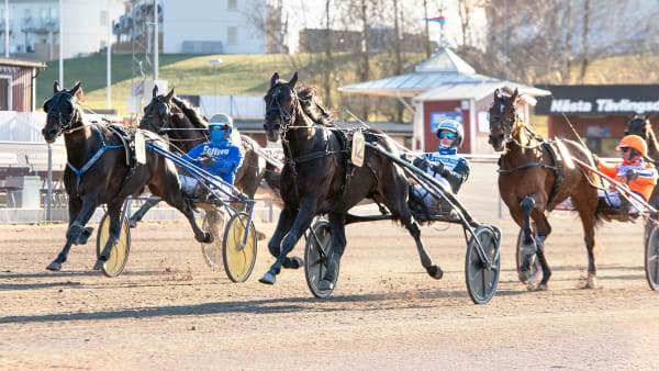 Foto: MIKAEL ROSENQUIST / TR BILD