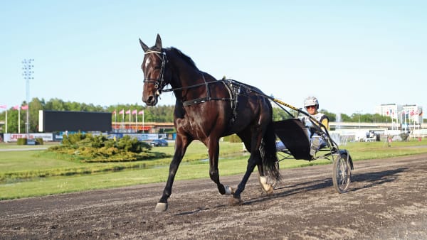 Foto: MARIA HOLMÉN / TR BILD