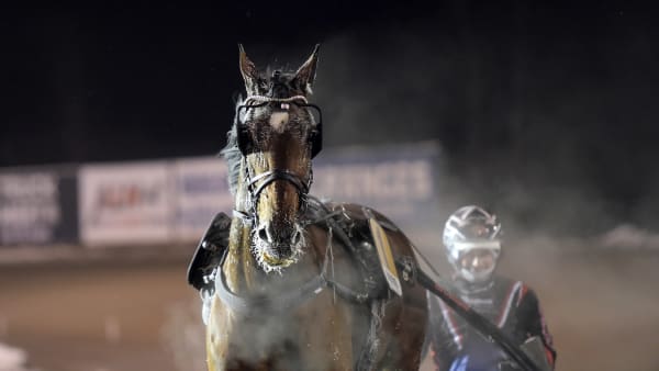 Foto: LARS JAKOBSSON / TR BILD