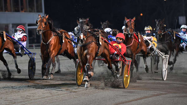 Foto: MALIN ALBINSSON / TR BILD