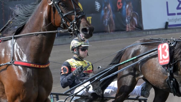 Foto: LARS JAKOBSSON / TR BILD