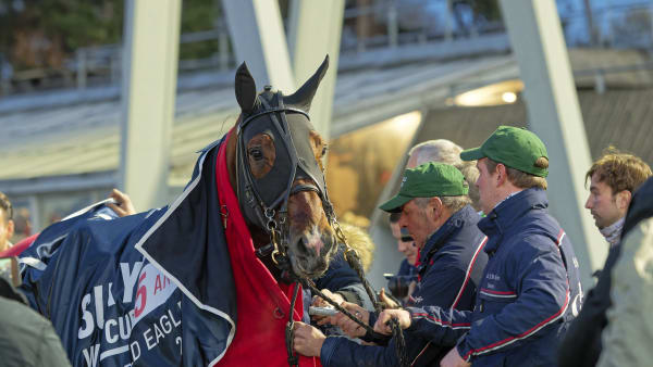 Foto: JEAN-LUC LAMAÈRE/TR BILD