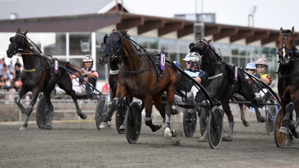 Foto: MALIN ALBINSSON / TR BILD