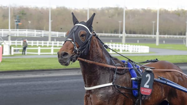 Foto: LARS JAKOBSSON / TR BILD