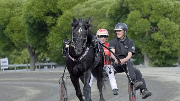 Foto: LARS JAKOBSSON / TR BILD