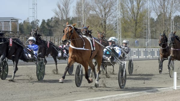 Foto: LARS JAKOBSSON / TR BILD