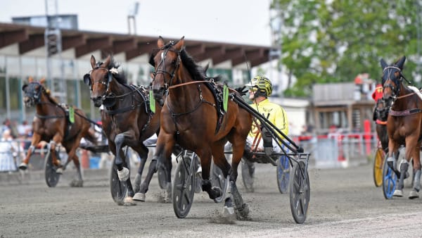 Foto: MALIN ALBINSSON / TR BILD