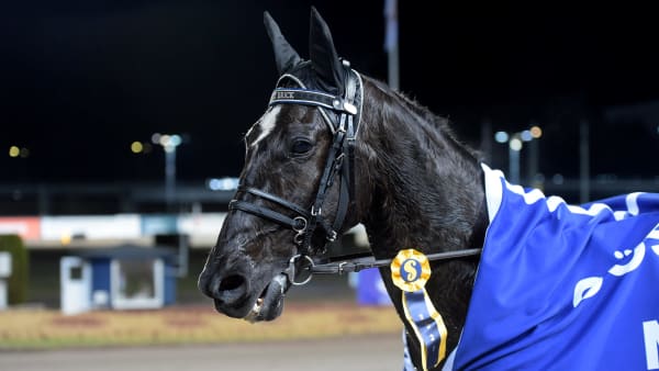 Foto: LARS JAKOBSSON / TR BILD