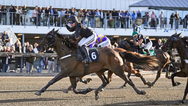 Foto: MALIN ALBINSSON / TR BILD