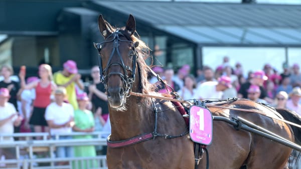 Foto: LARS JAKOBSSON / TR BILD