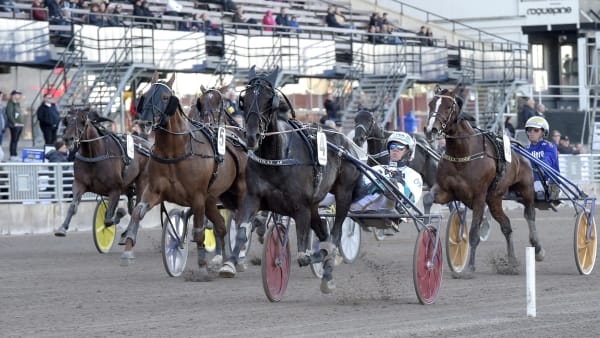 Foto: LARS JAKOBSSON / TR BILD