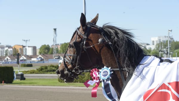 Foto: LARS JAKOBSSON / TR BILD