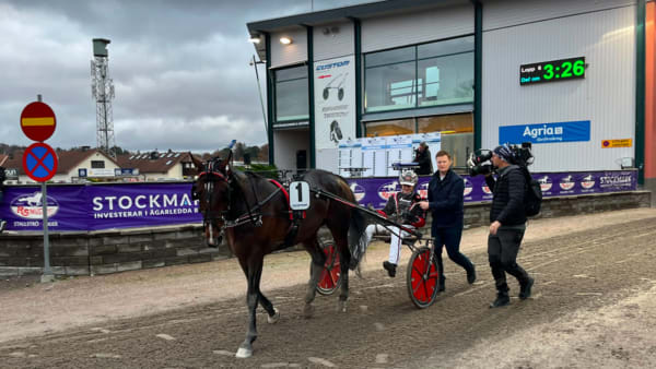 Foto: Mattias Holmgren / TR Bild