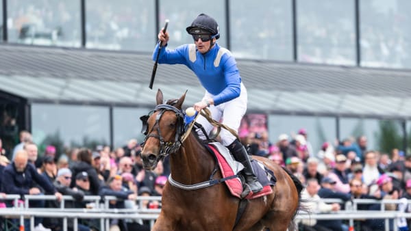 Foto: LENA EMMOTH / TR BILD