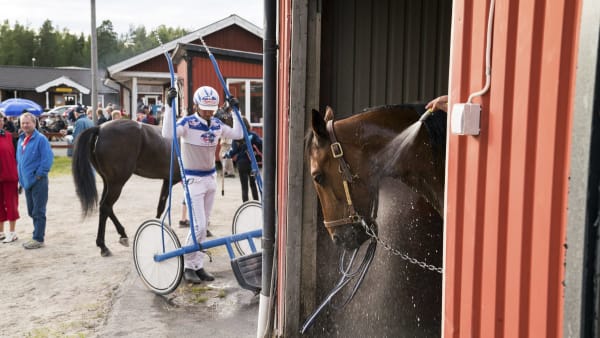Foto: THOMAS BLOMQVIST / TR BILD