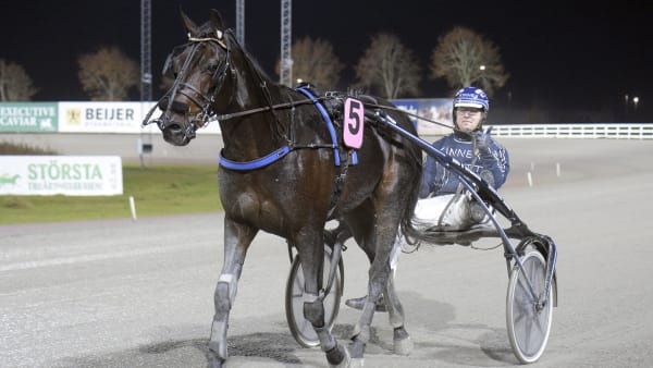 Foto: Martin Langels/ALN