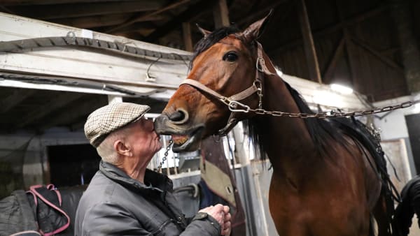 Foto: MARIA HOLMÉN / TR BILD