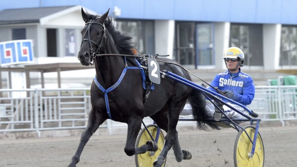 Foto: LARS JAKOBSSON / TR BILD