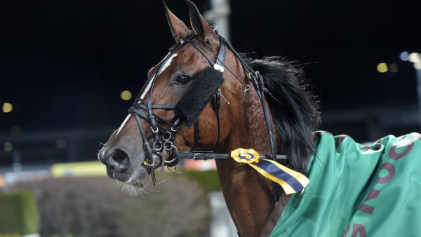 Foto: LARS JAKOBSSON / TR BILD