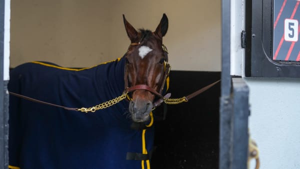 Foto: THOMAS BLOMQVIST / TR BILD