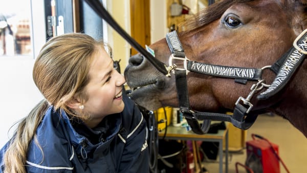 Foto: Svanthe Harström