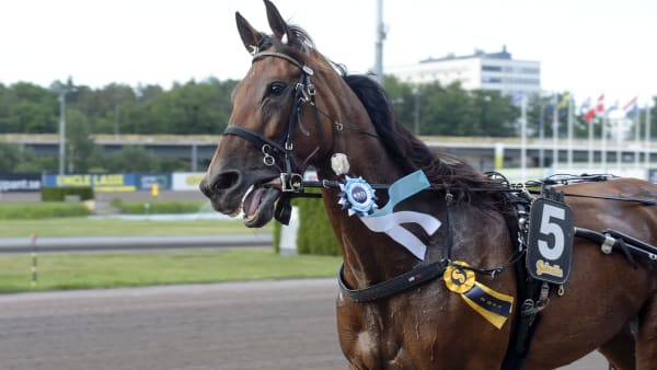 Foto: LARS JAKOBSSON / TR BILD