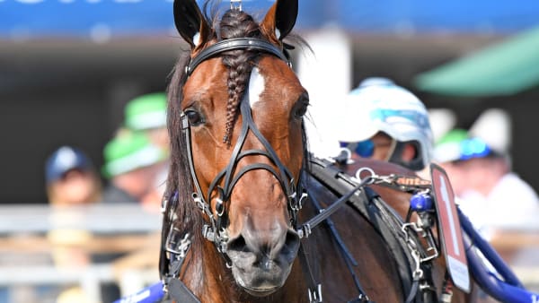 Foto: MALIN ALBINSSON / TR BILD