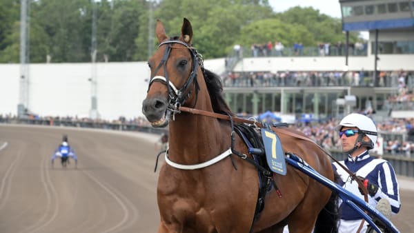 Foto: LARS JAKOBSSON / TR BILD