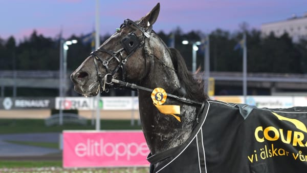 Foto: LARS JAKOBSSON / TR BILD