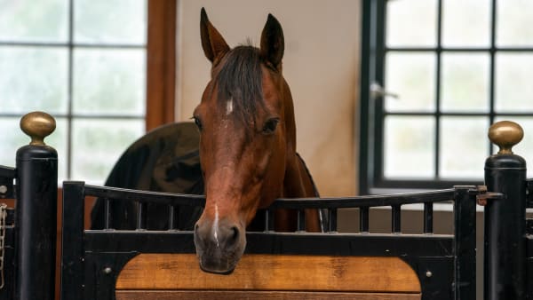 Foto: THOMAS BLOMQVIST / TR BILD