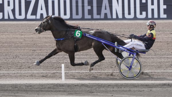 Foto: THOMAS BLOMQVIST / TR BILD