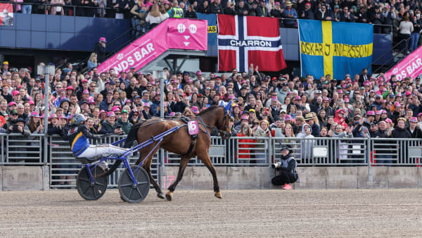 Foto: LENA EMMOTH / TR BILD