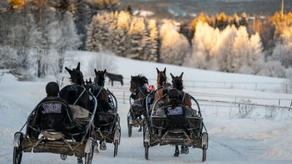 Foto: Thomas Blomqvist/TR BILD