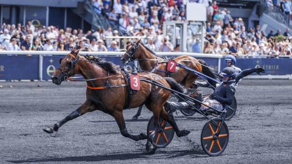 Foto: BRUNO VANDEVELDE/LE TROT