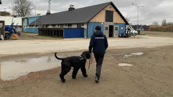 Foto: DENNIS ENGELBO/TR BILD