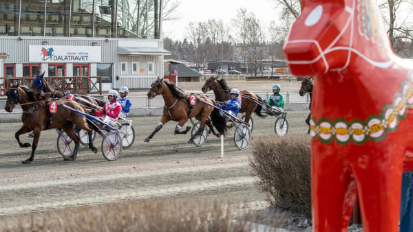 Foto: LENA EMMOTH / TR BILD