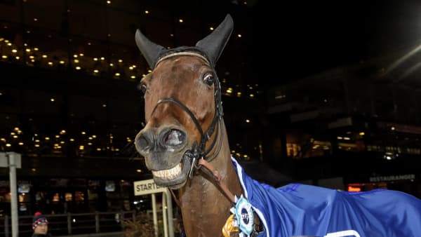 Foto: LARS JAKOBSSON / TR BILD