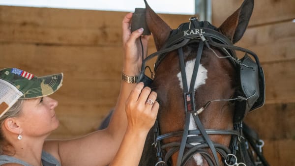 Foto: Elin Gustafsson