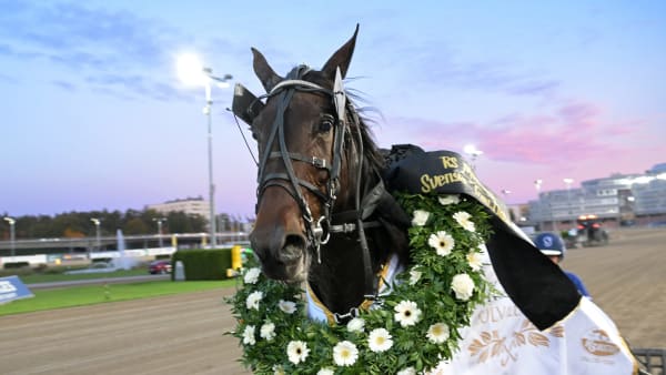 Foto: LARS JAKOBSSON / TR BILD