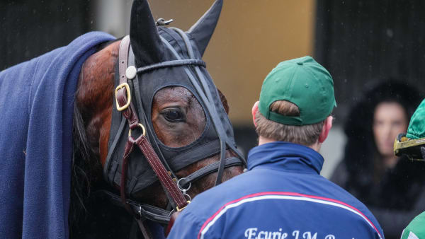 Foto: THOMAS BLOMQVIST / TR BILD