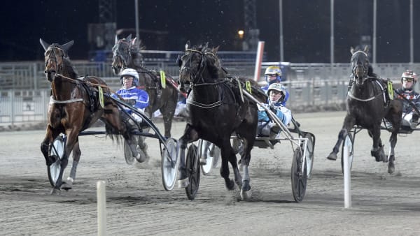 Foto: LARS JAKOBSSON / TR BILD