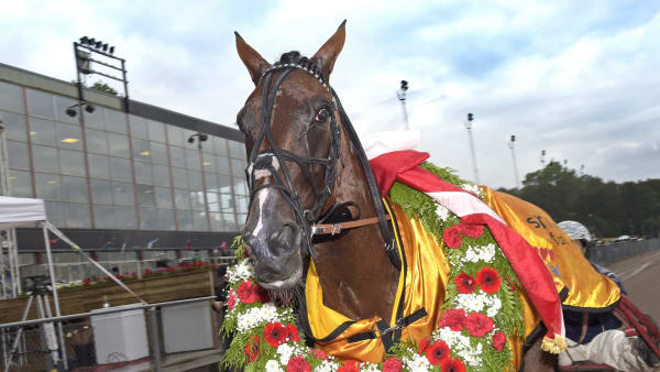 Foto: LARS JAKOBSSON / TR BILD
