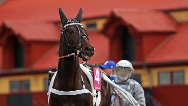 Foto: MATILDA ÖHRMAN / TR BILD