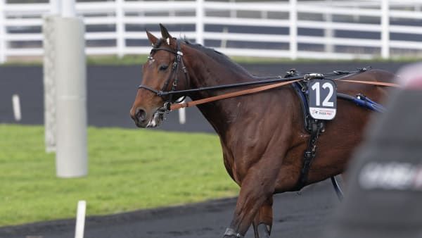 Foto: JEAN-LUC LAMAÈRE/TR BILD